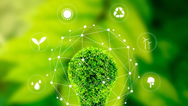 Eco-Friendly & Green Hosting Solutions Powering the Web Sustainably Eco-Friendly & Green Hosting Solutions Powering the Web Sustainably